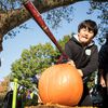 Annual Pumpkin Smash Will Let You Rage On Gourds For The Environment